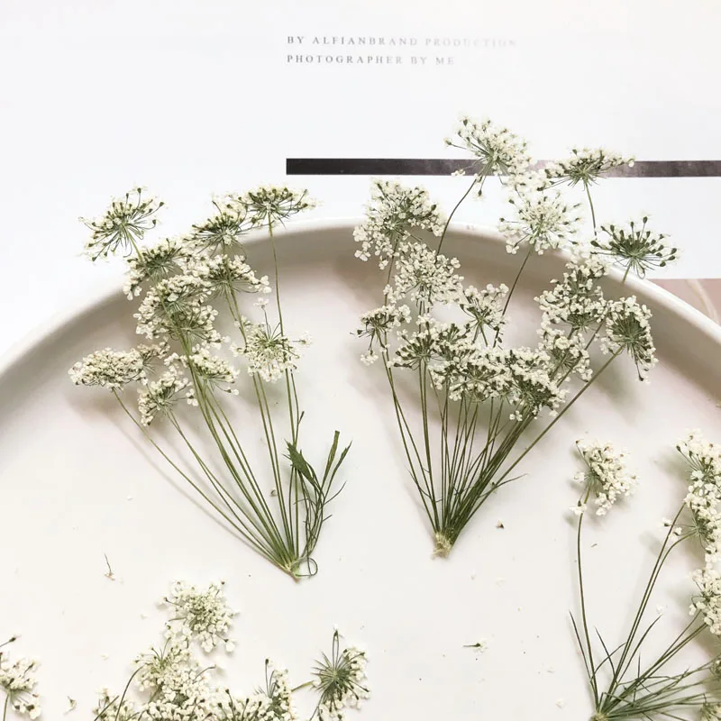 5-7 cm/12 adet, Şube ile Kar M - Craft Embellishments incelemesi ve fiyatı